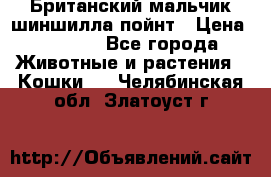 Британский мальчик шиншилла-пойнт › Цена ­ 5 000 - Все города Животные и растения » Кошки   . Челябинская обл.,Златоуст г.